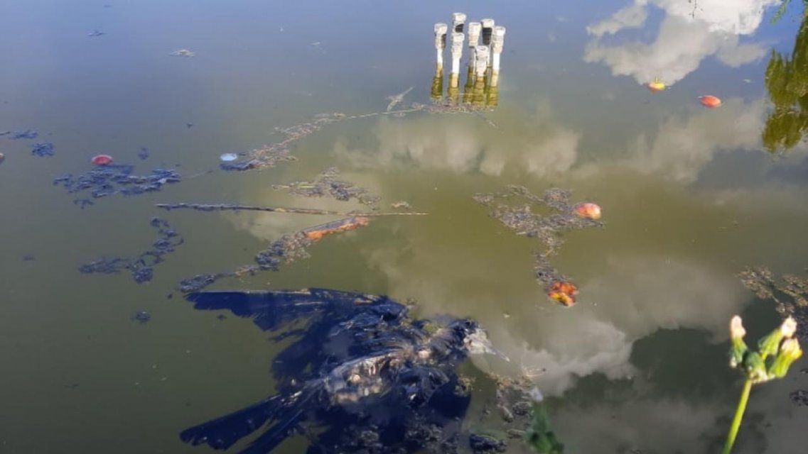 Фотофакт: под носом у хотынецких чиновников фонтан захватила мертвая птица