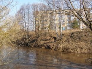 Капризов природы на этой неделе ждать не придётся