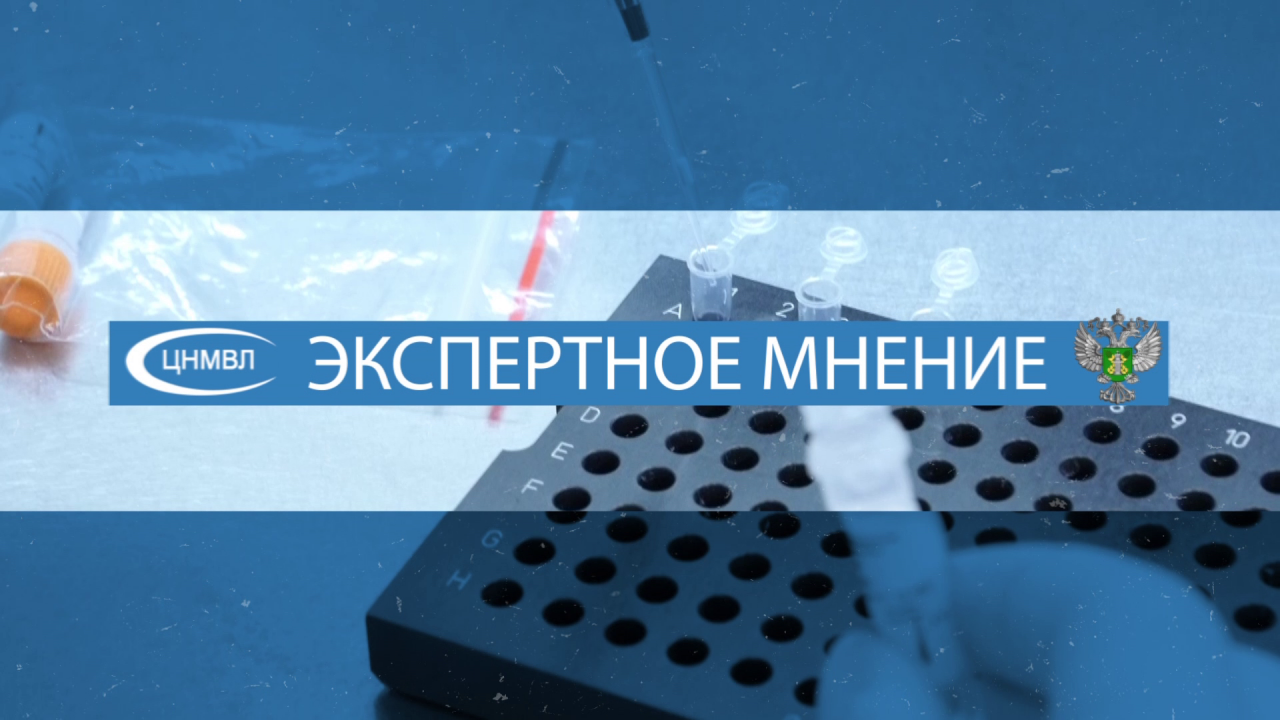 сколько тонн зерна уже собрано на Орловщине