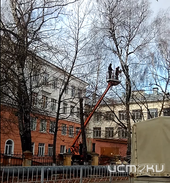 Улучшайзинг по-орловски. У школы №24 им. Тургенева провели опиловку деревьев