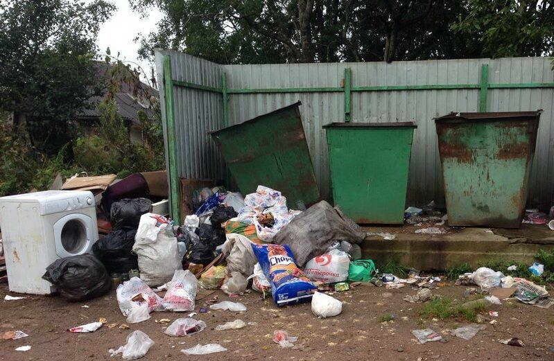 «Общероссийский народный фронт» изучил орловские контейнерные площадки