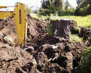 Корпорация ГРИНН занялась строительством нового гипермаркета