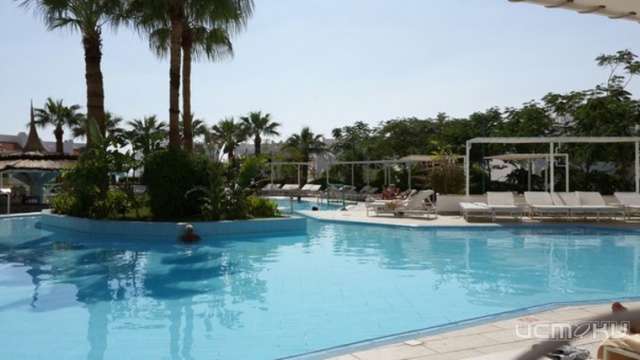 Орловчан не будут штрафовать за отказ от поездки в Египет