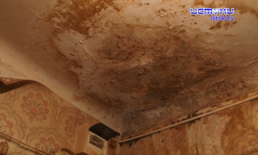 А в качестве отхожего места у них кустики. Жители дома на Черкасской, 73 почти 10 лет добиваются расселения их из аварийного дома