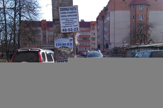 Залепили и завесили весь город