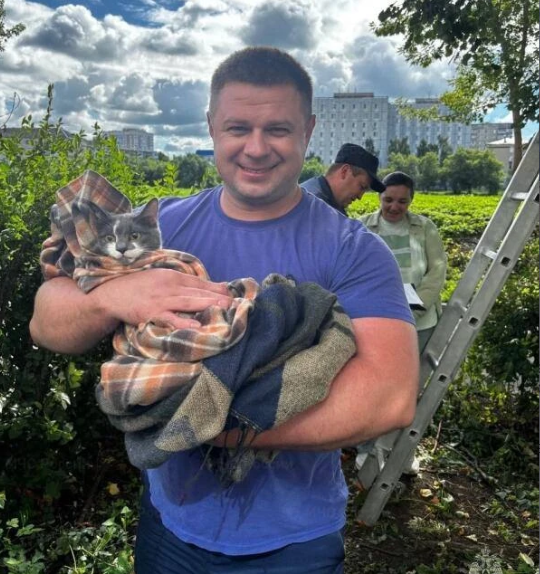Орловские спасатели помогли кошке спуститься с дерева