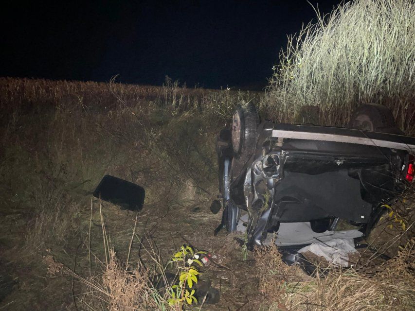 Под Орлом в ДТП с кабаном пострадал водитель легковушки