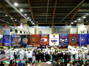 Орловские единоборцы отличились в столице 