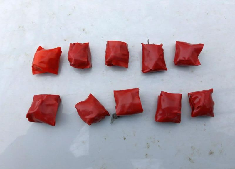 В Орле задержали иностранного наркокурьера