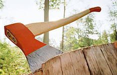 Деревья рубят, трубы прокладывают