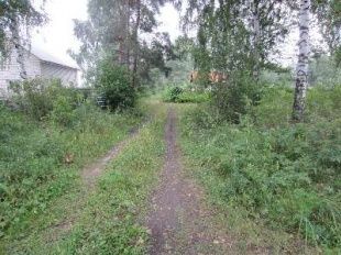 В районе озера «Светлая жизнь» убили молодого парня