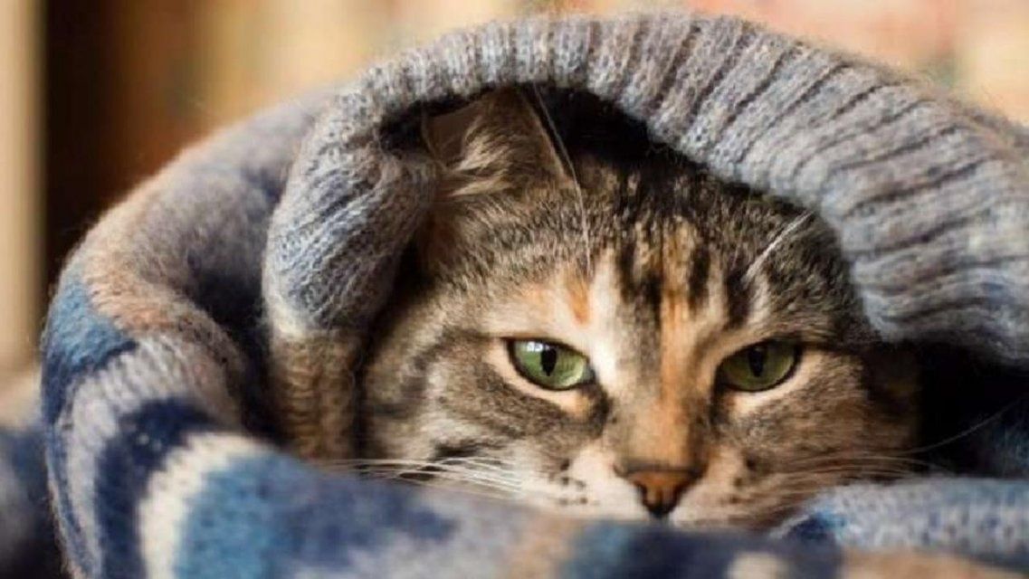 Синоптики напугали орловчан аномальным похолоданием