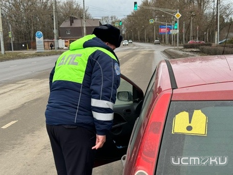 В Орле разъясняли, что пить за рулем нельзя