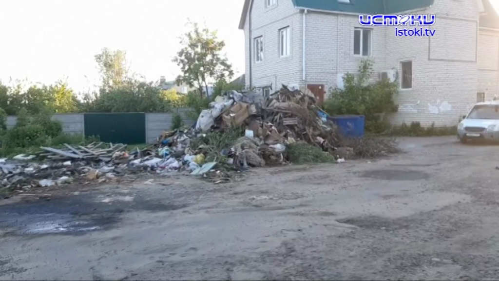 Лебедь, рак и щука: почему в Орле такая беда с мусором? 