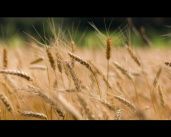 Обратная связь 18.12.18