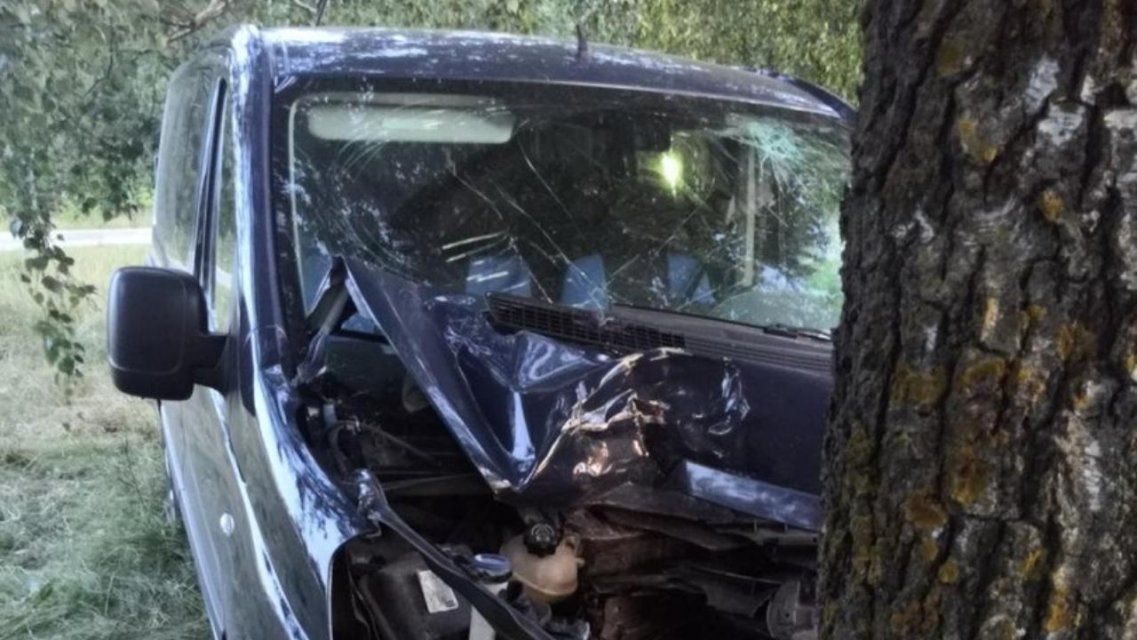 На Орловщине водитель микроавтобуса попал в больницу, влетев в дерево