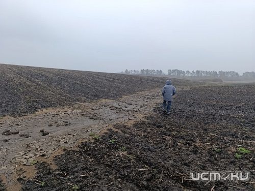 В пруду под Орлом из-за навоза произошла массовая гибель рыбы  В пруду под Орлом из-за навоза произошла массовая гибель рыбы