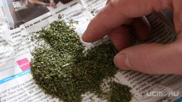 У жителя Орловской области изъяли почти 250 граммов марихуаны