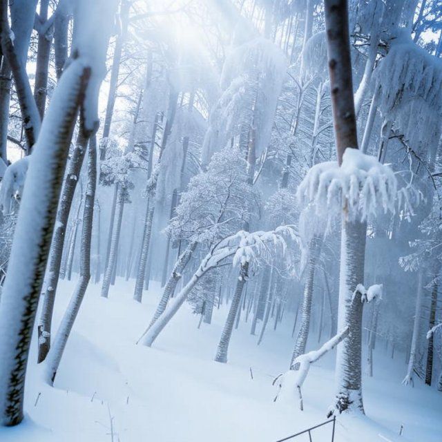 Мокрый снег, метель и туман ожидают Орловщину в ближайшее время