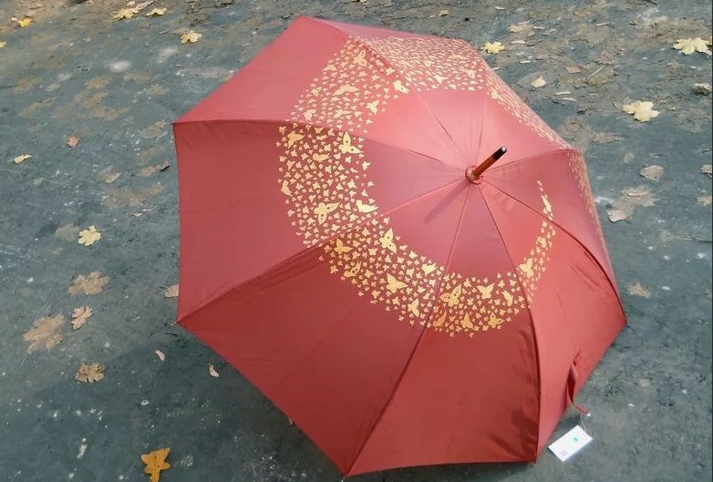 Дождливая осень вынудила орловчанку украсть зонт