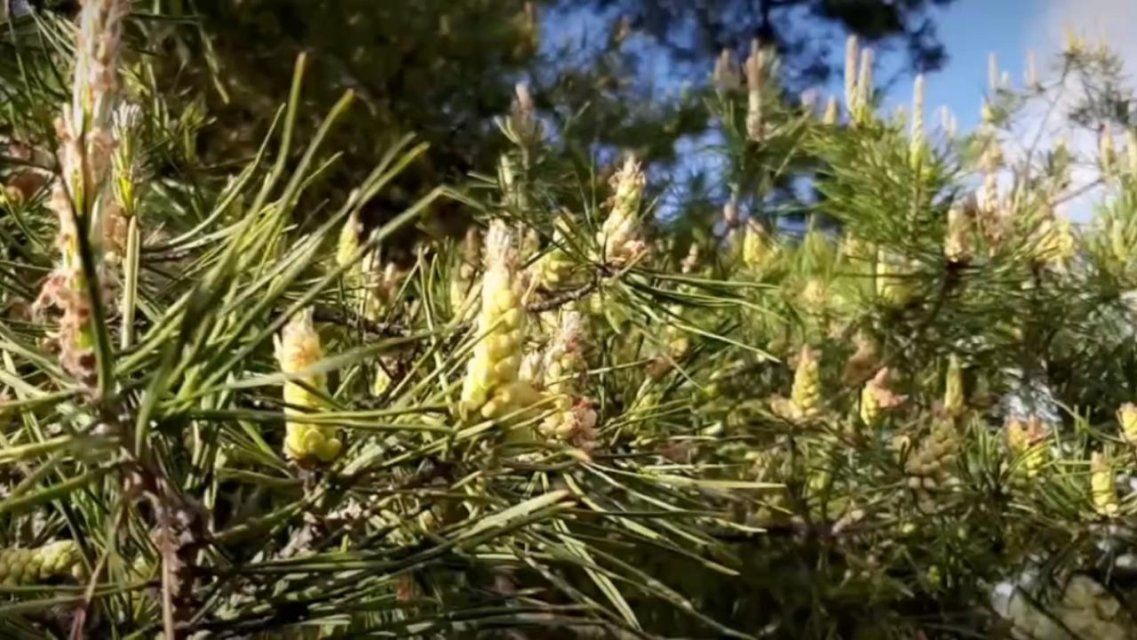 Народный корреспондент показал красоту весеннего Орла