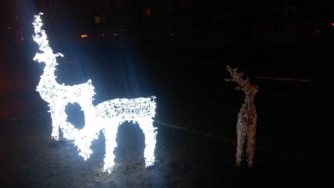 Проснулась совесть: в Орле похитители вернули в семью новогоднего оленя