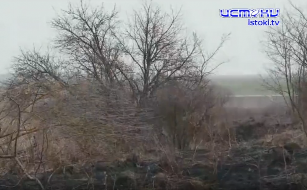 Чем опасен сухостой на землях сельхозназначения рассказали специалисты орловского и курского Россельхознадзора