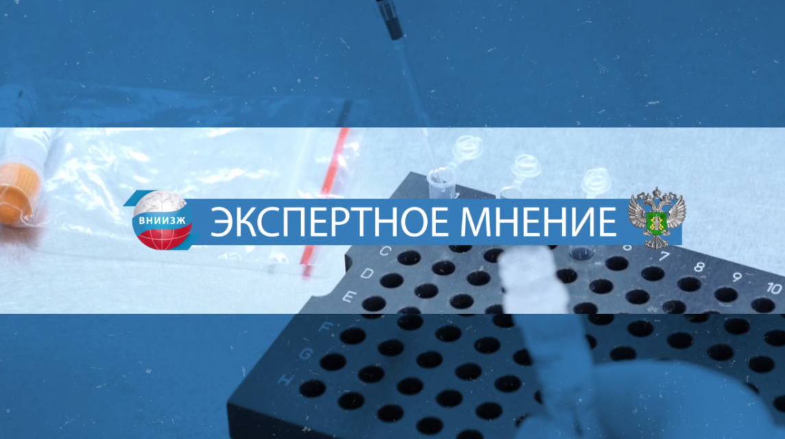 Как БПЛА могут приносить пользу, несанкционированные картеры в Орловской области