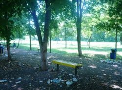 Мусор в парке на Дубровинского у Герценского моста