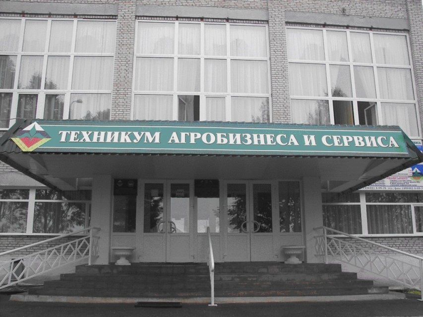 В Орловской области экс-руководитель филиала «Орловский техникум агробизнеса и сервиса» стала фигурантом уголовного дела за присвоение бюджетных денег