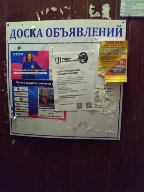 Глазами очевидцев: в преддверии выборов Орле появились листовки, пропагандирующие «умное голосование»