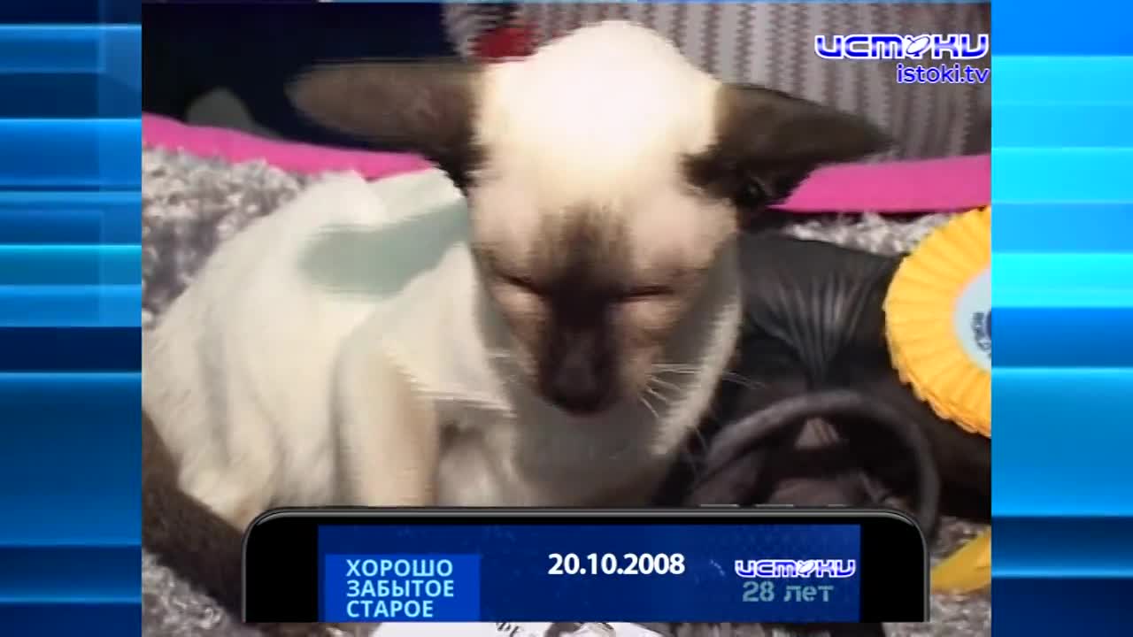 Хорошо забытое старое 20.10.2024