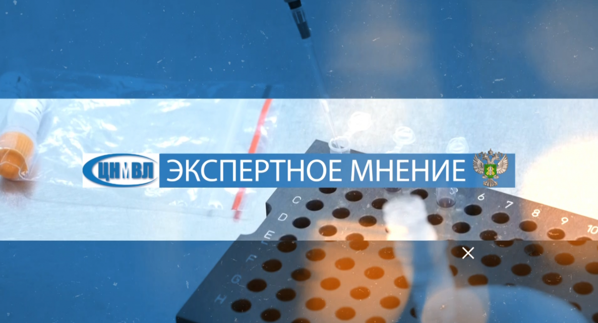 Сегодня на телеканале "Истоки" смотрите выпуск программы "Экспертное мнение"