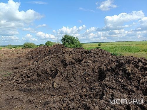 Землю сельхозназначения под Орлом загрязнили тяжелыми металлами