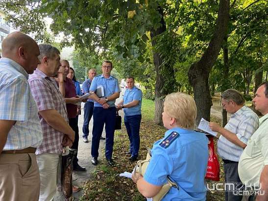 В Орле завели дело из-за планов чиновников вырубить деревья на ул. Пионерской