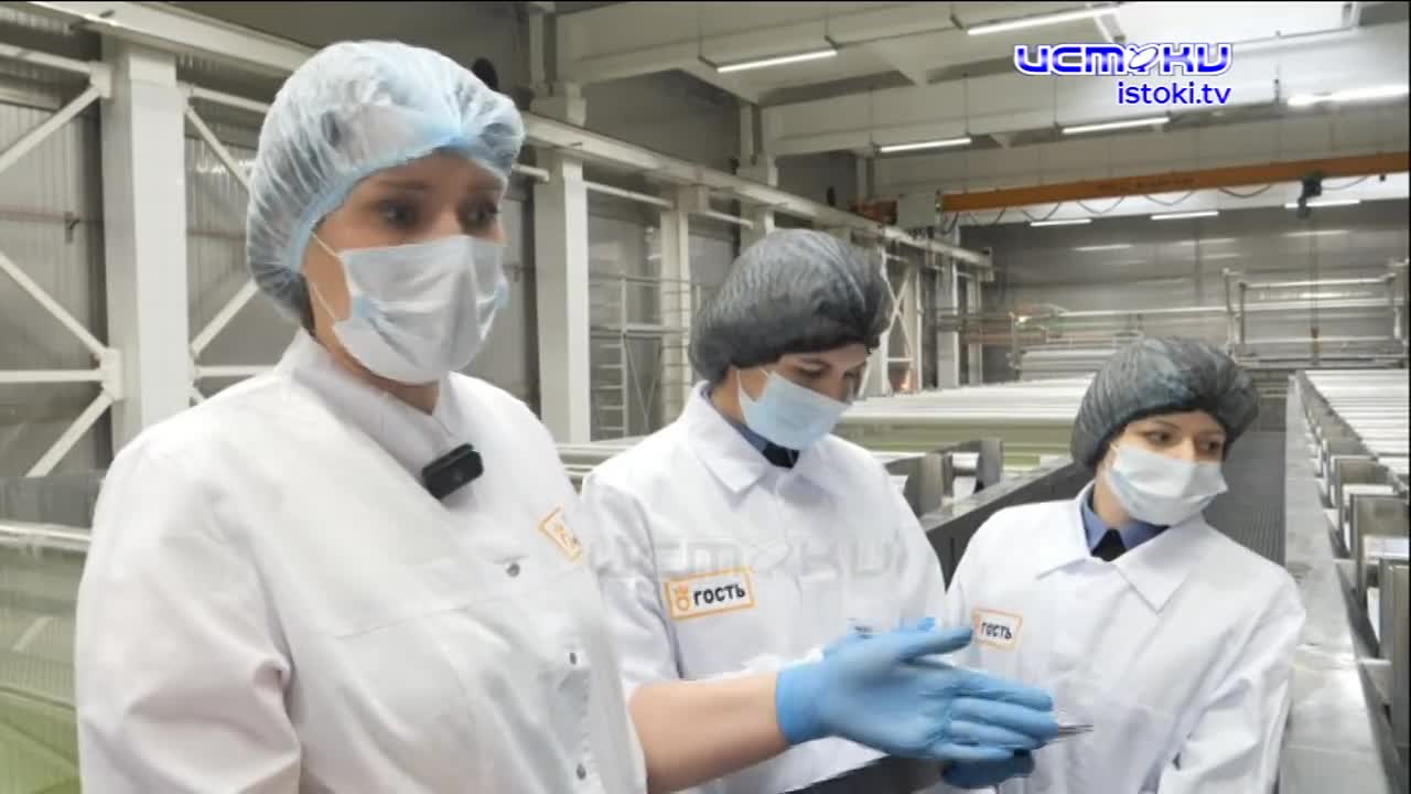 Экспертное мнение 29.01.2025