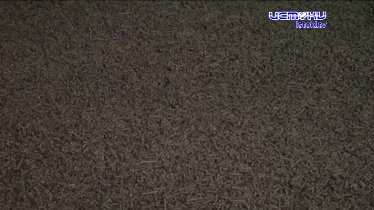 Экспертное мнение 11.12.2024