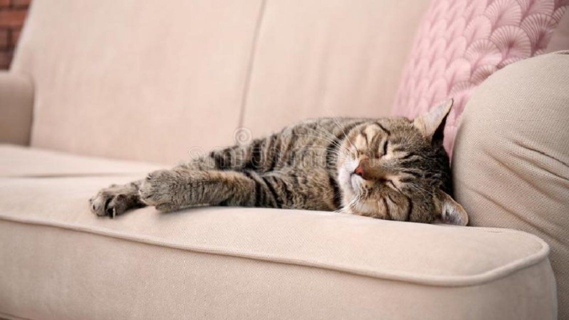 Орловчан призывают в субботу и воскресенье не ходить в гости