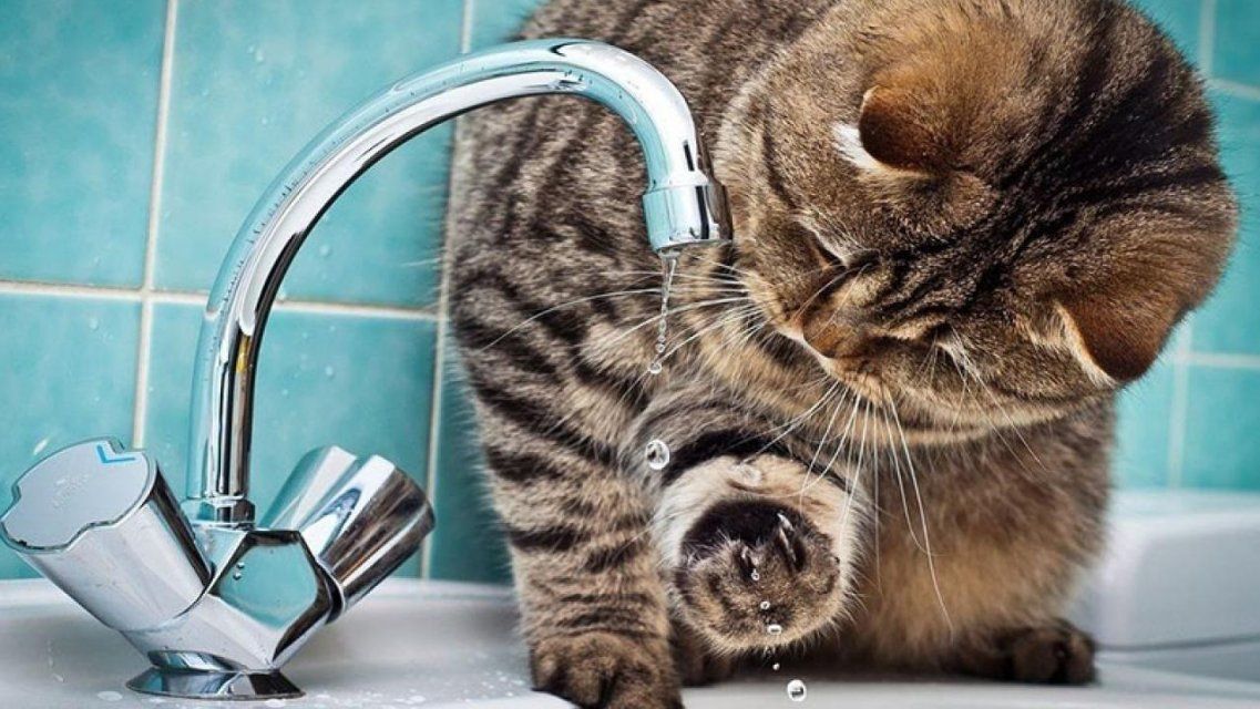 На четыре дня раньше срока орловчанам возвращают горячую воду