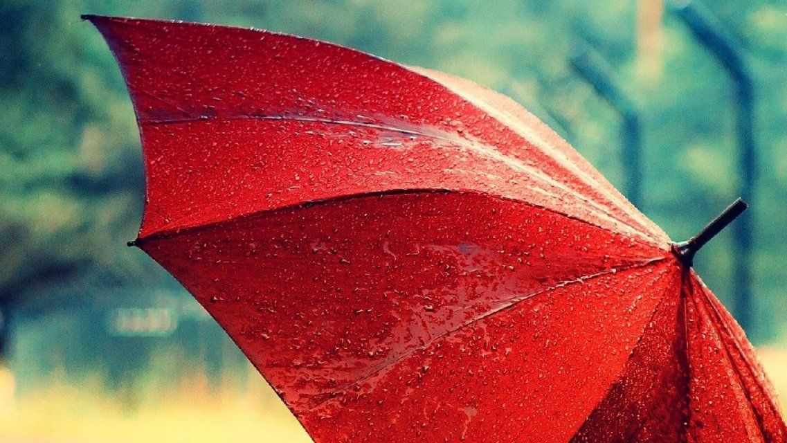 +14 °C и дождь — такая погода ждет сегодня орловчан