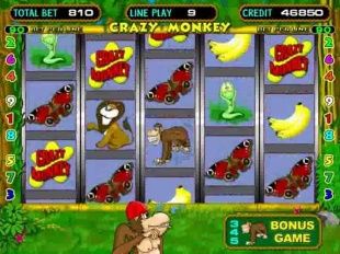 Бывший помощник прокурора Новосильского района «крышевал» игорный бизнес