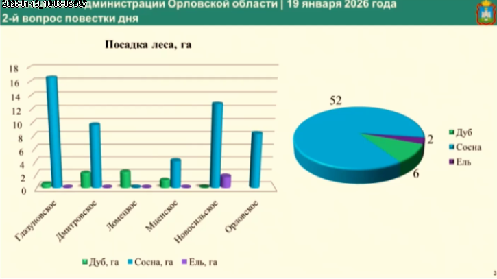 В прошлом году на Орловщине в основном сажали сосны