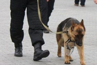 В Орле неизвестные сообщили о заминировании банка