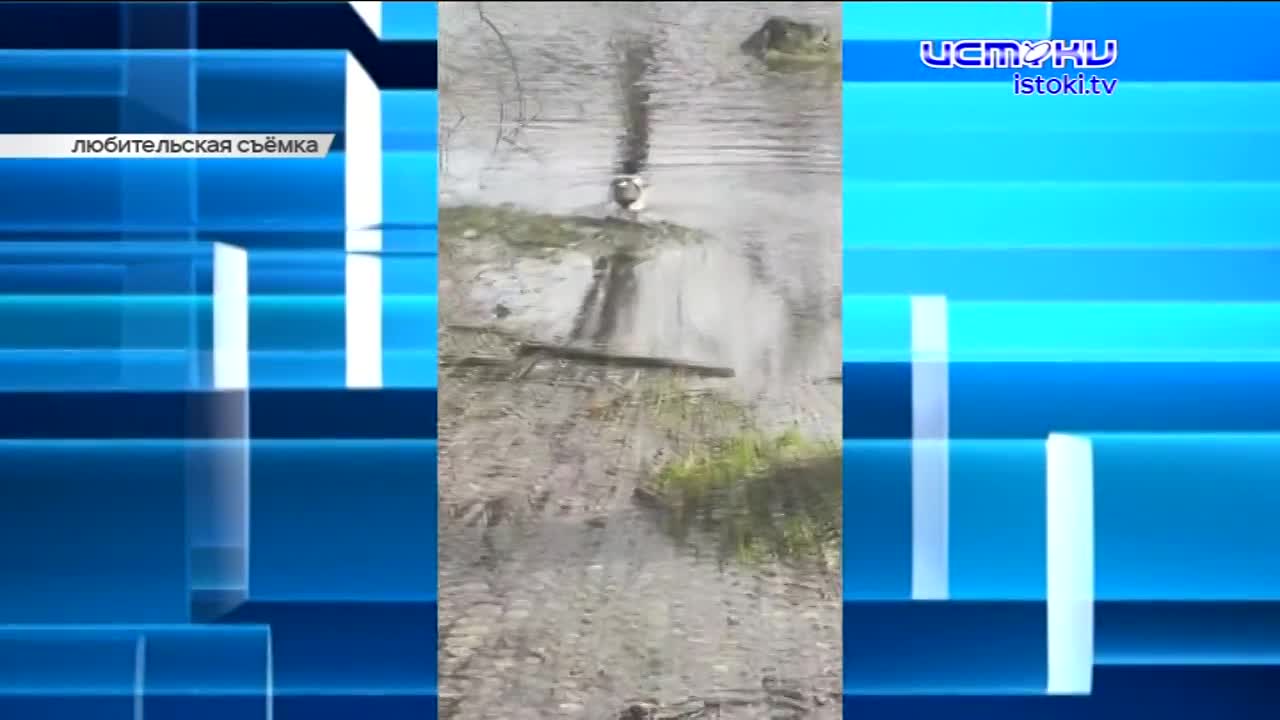 Столичная фирма займётся строительством студенческого кампуса в городе, в Орле создадут архив писем участников СВО и членов их семей, а центр занятост...