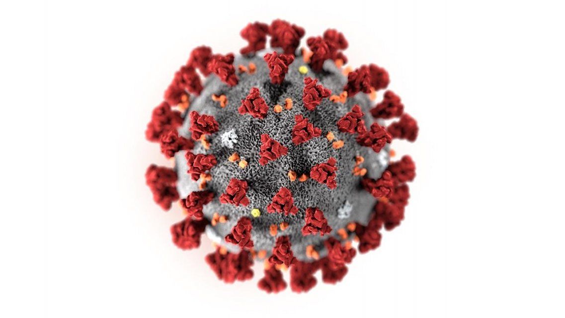 Статистика Орловщины пополнилась еще двумя летальными случаями COVID-19