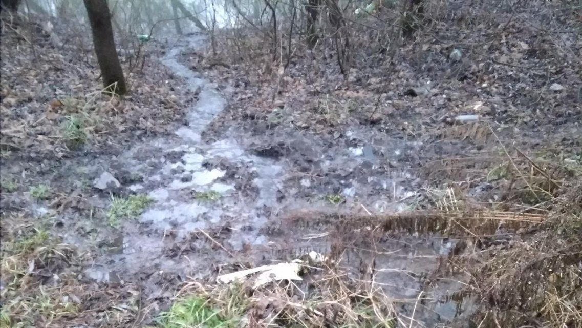 «Экологический терроризм»: под Орлом загрязняют сточными водами Оку