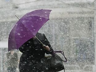 В ближайшие сутки на Орловщине ожидается сильный ветер