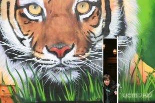 Граффити-атака: в Орле обострилась ситуация с самовольными настенными надписями и рисунками