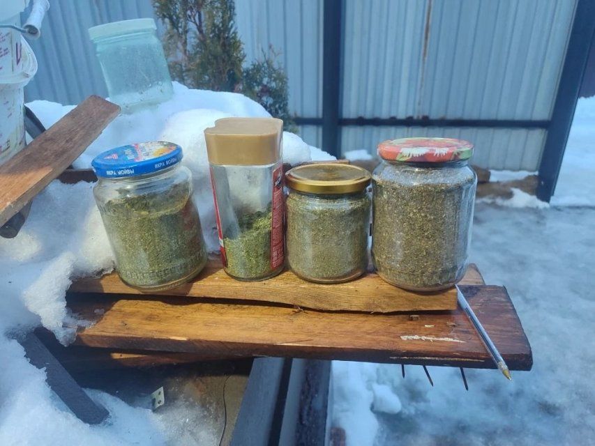 У орловчанина изъяли более 300 граммов марихуаны