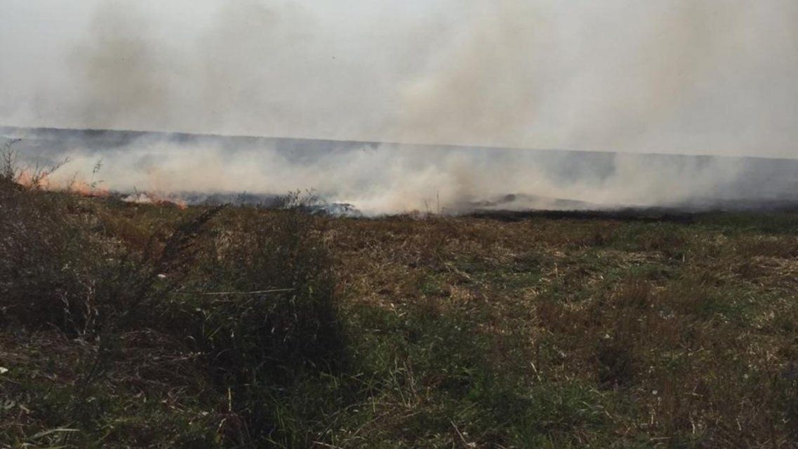 Горят не только костры рябин: на Орловщине огонь уничтожил более 2000 га сухостоя